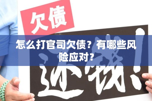 担保人必知：避开起诉雷区的实战指南！风险高不高？这里有解法
